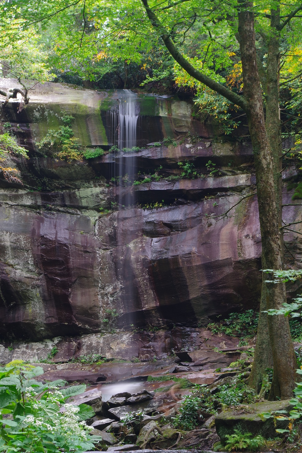 Rainbow Falls, Great Smoky Mountains