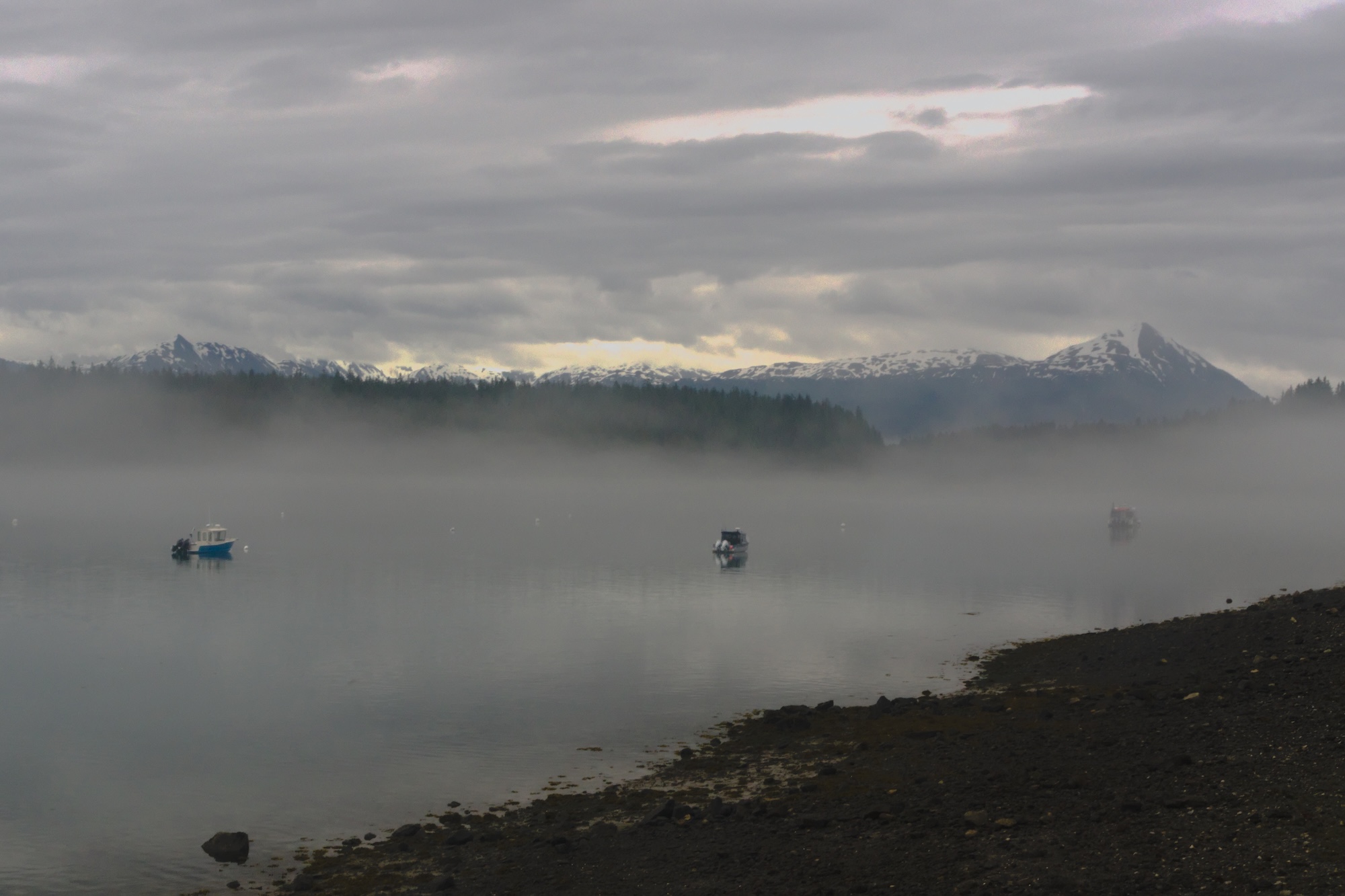 Bartlett Cove, Glacier Bay