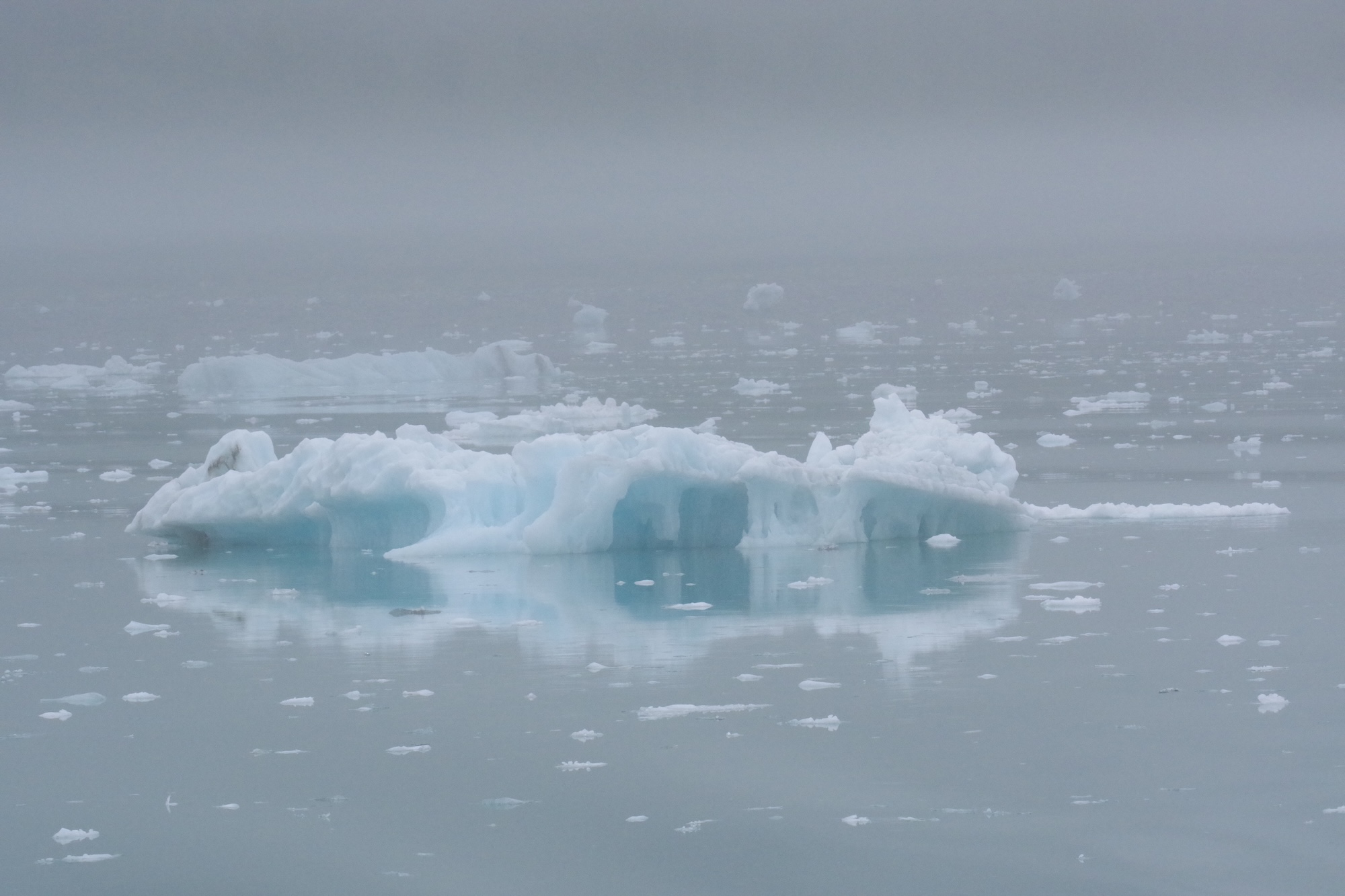 A bergy bit surrounded by growlers at Tarr Inlet, Glacier Bay