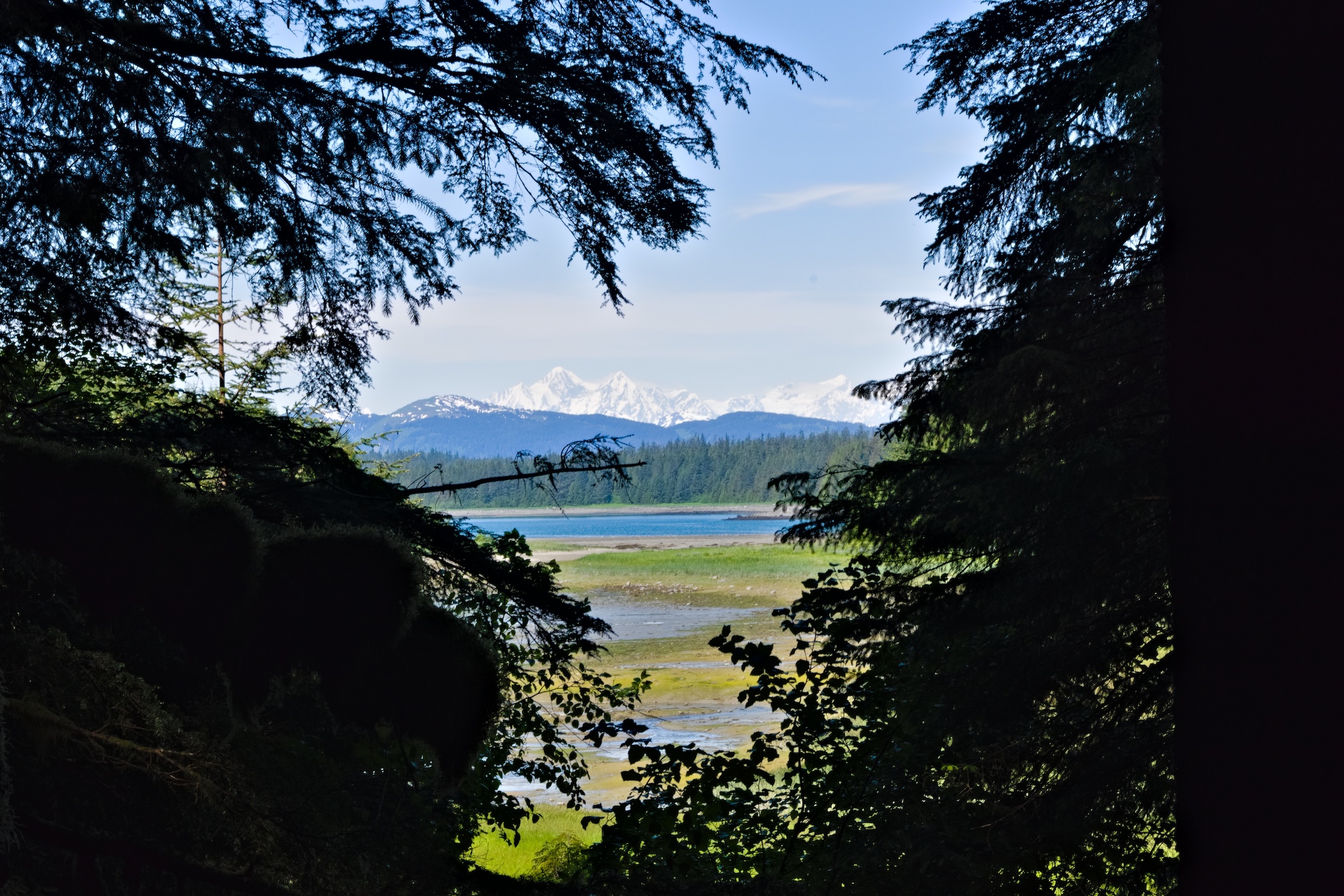 A hidden window onto the mountains of Glacier Bay, captured at the exact spot where the Bartlett River Trail branches off into the Bartlett Lake Trail.