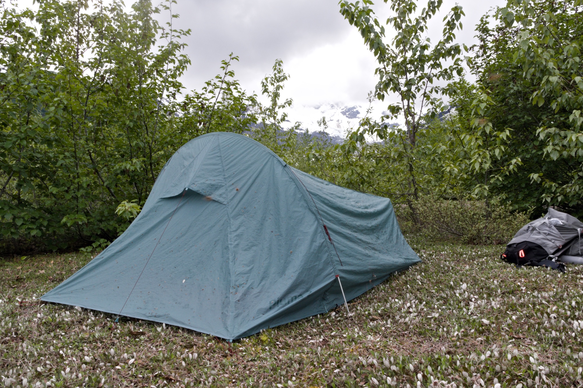 My tent assaulted by mosquitoes in front of an astonishing glacier view.