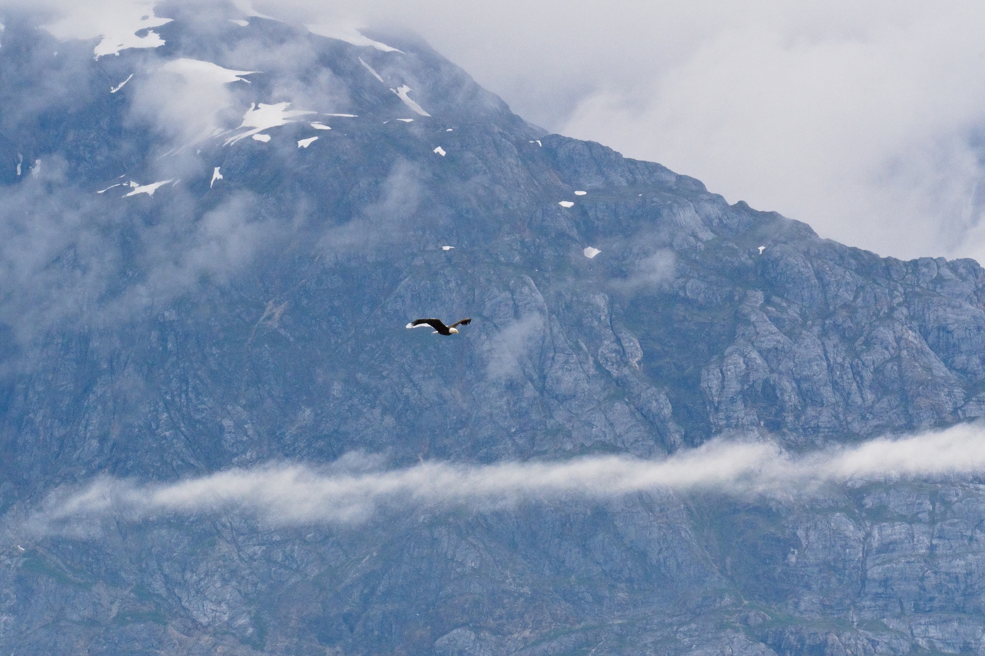 Where Eagles Dare: First Backcountry Experience in Glacier Bay