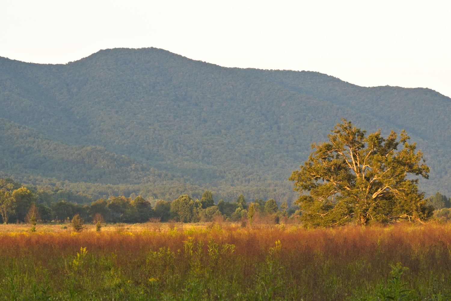 Driving the roads of the Smokies with Davy Crockett’s Spirit