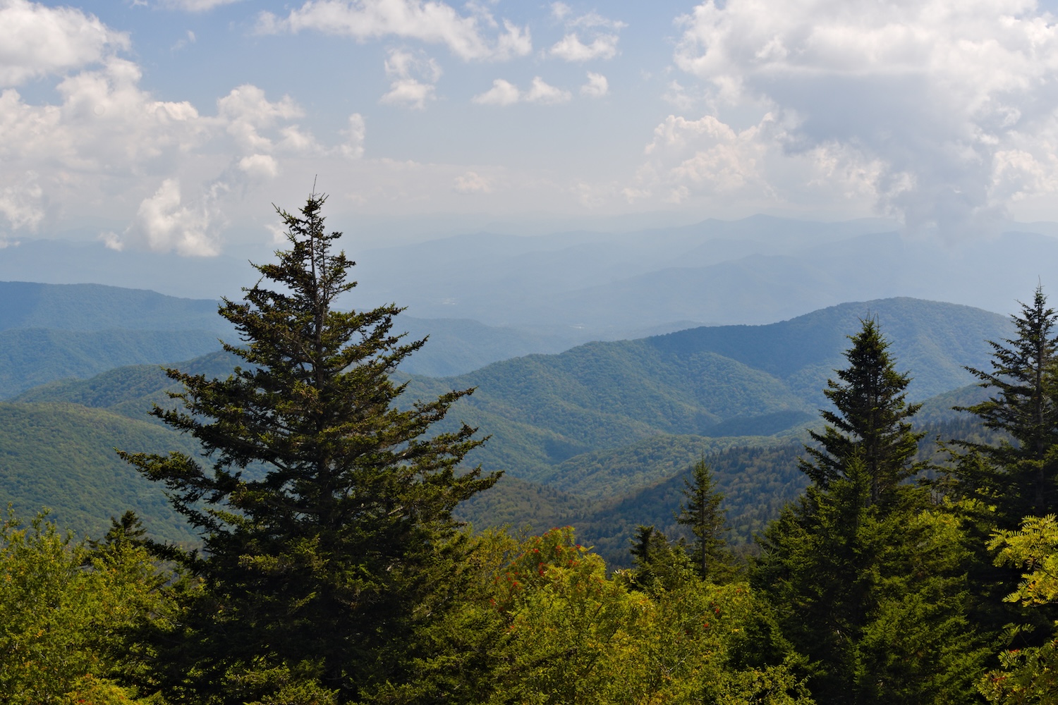 A breathtaking panorama of the Great Smoky Mountains from the way to reach Kuwohi  Observation Tower.