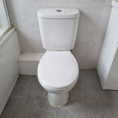 Toilet before cleaning