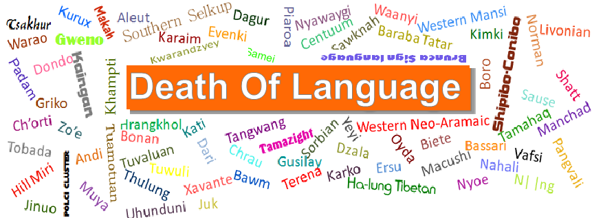 The Forgotten Codes: Preserving African Languages Before They Vanish