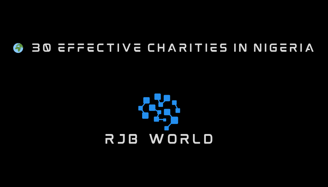 🌍 30 Effective Charities in Nigeria