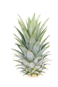 Pineapple Crown(500g), the Ultimate Herbal Cure for Digestion & Detox