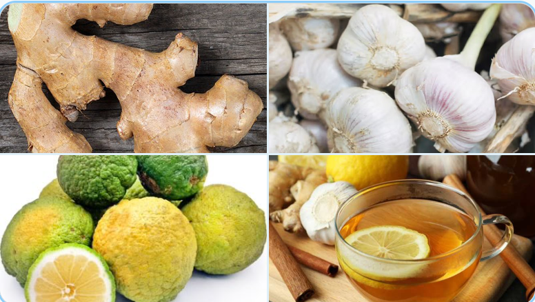 herbal cure for cough