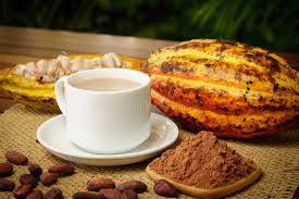 Raw Cocoa Drink as natural remedy for high blood pressure