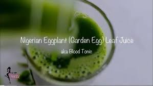 Garden Egg Leaves tea as remedy for high blood pressure