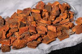 Cinchona bark (source of quinine) as natural cure for Malaria