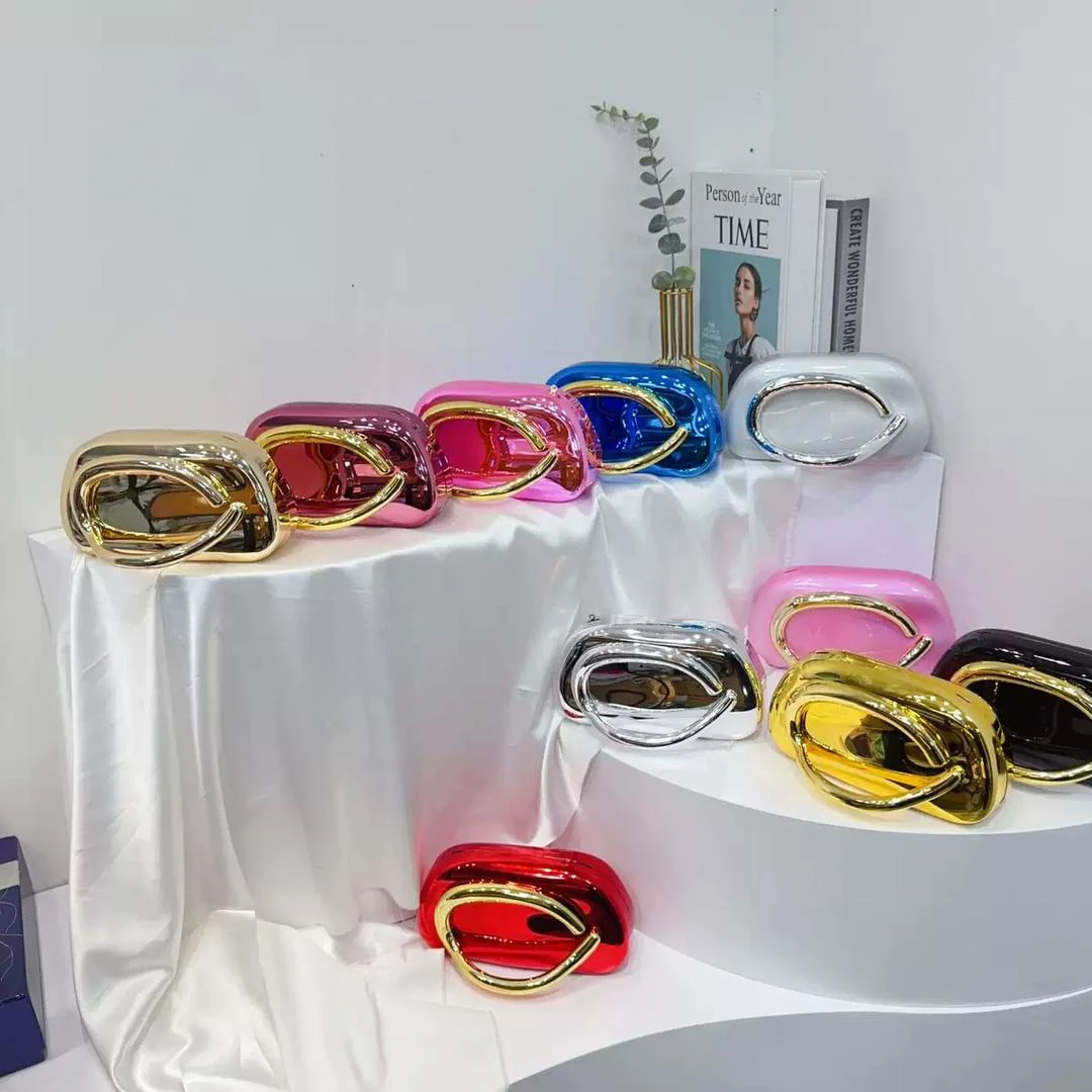Luxury shinny handbag