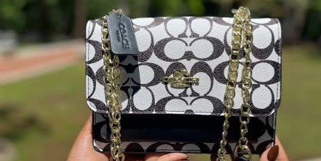 New Style coach Bag thumbnail