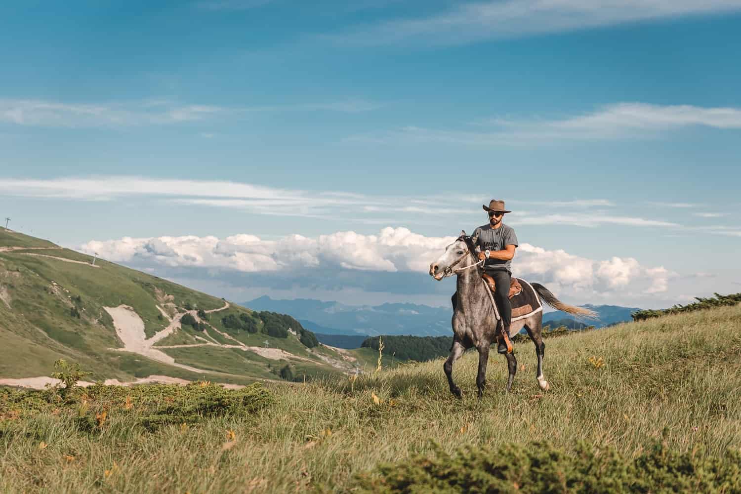Horse Riding