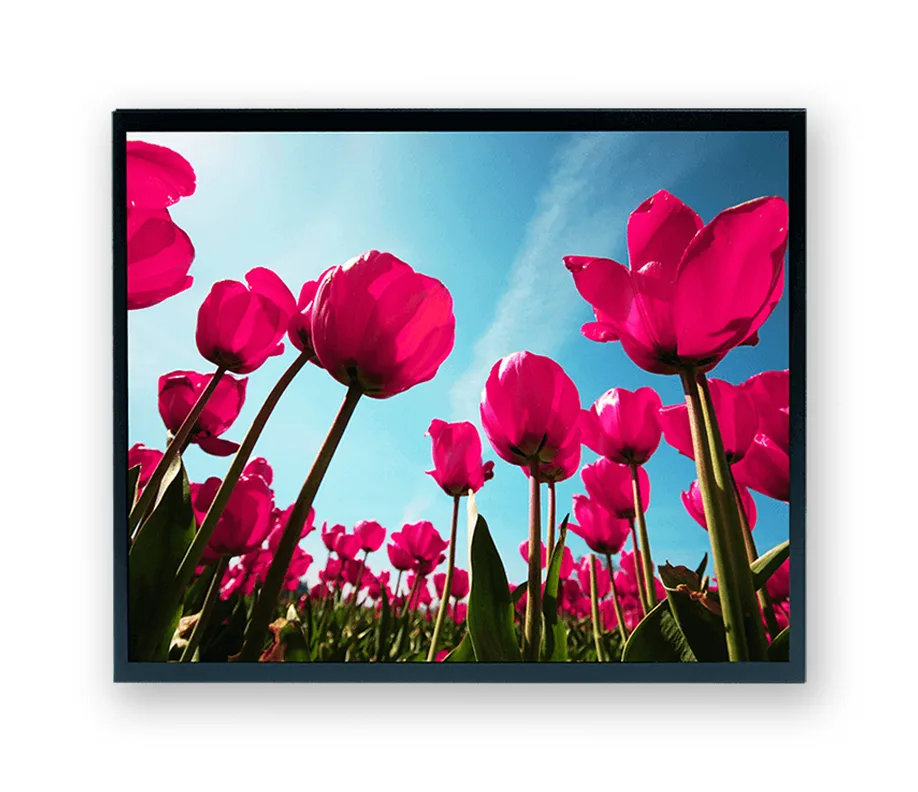 Industrial Monitors AP-SLD1768 Product Image 3
