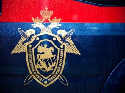 Завершено расследование уголовного дела о травмировании малолетних детей в дорожно-транспортном происшествии