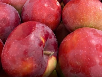 В Кабардино-Балкарии производство плодоовощных соков и нектаров выросло в 3,6 раза