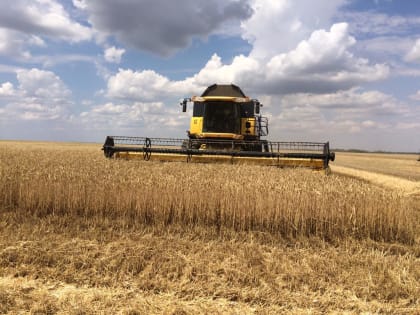 В Кабардино-Балкарии началась убора зерновых