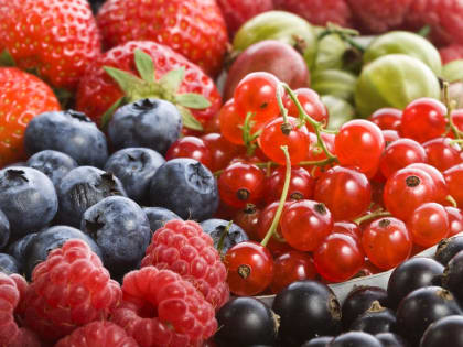 В Кабардино-Балкарии вырос урожай плодов и ягод