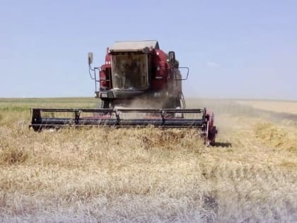 В Зольском районе КБР завершилась уборка зерновых и колосовых культур