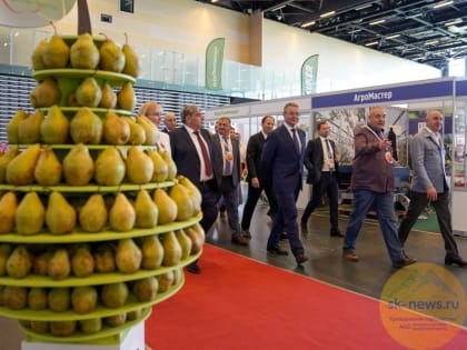 Главы Ставрополья, КБР и КЧР участвовали в открытии международной выставки «PRO ЯБЛОКО 2023»