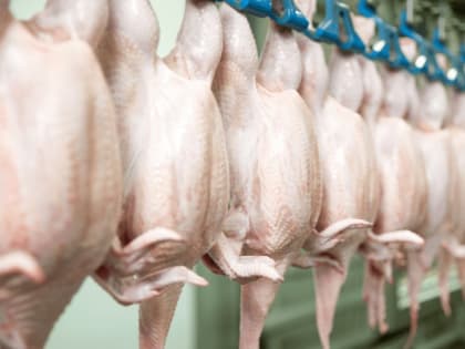 В Кабардино-Балкарии выросло производство мяса и субпродуктов