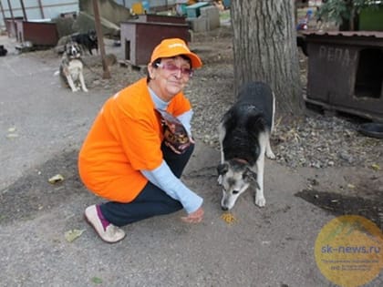 «Серебряные» волонтеры Ставрополя помогли приюту для животных «Лучший друг»