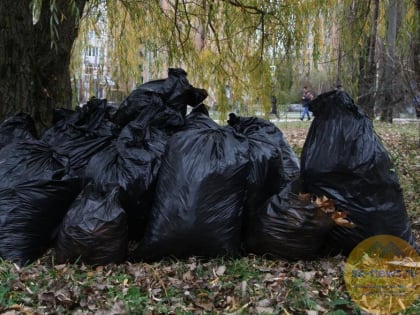 В МинЖКХ Ставрополья разъяснили обязанности регоператоров по вывозу листвы