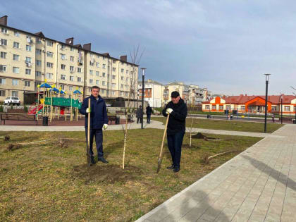 Мэр Нальчика совместно с жителями близлежащих домов посадил деревья в новом сквере в мкр Нарт