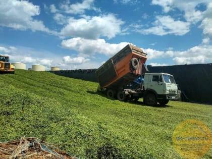 Аграрии Ставрополья начали заготовку кормов для животных