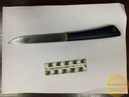 Уголовное дело убившего знакомого 9 мая 66-летнего жителя Майского района КБР передали в суд