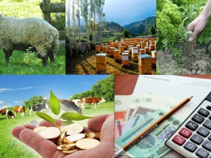 Вниманию сельхозтоваропроизводителей!