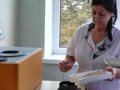 Профессионалы определяют качество зерна нового урожая