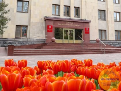 Дума Ставрополья приняла краевой закон по расширению мер поддержки многодетных семей