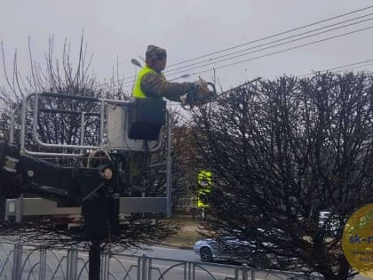 К весенней высадке готовят городские клумбы Ставрополя