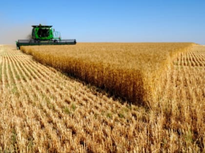 В растениеводческой отрасли Баксанского района подводят итоги года