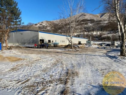 Ферму по разведению пятикилограммовой форели откроют в Подкумке