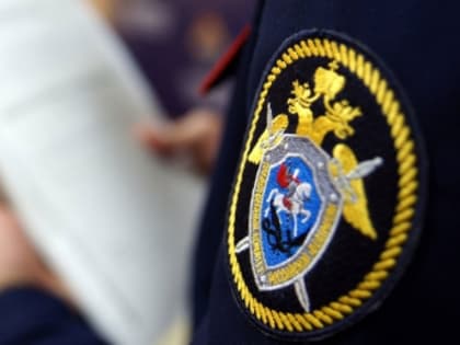 Завершено расследование уголовного дела в отношении жительницы Прохладненского района,   совершившей похищение малолетней