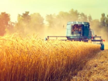 На 21 процент вырос объём льготных кредитов Россельхозбанка