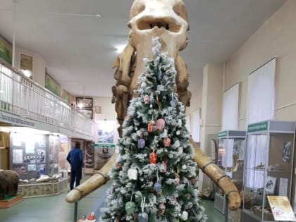 В Ставрополе появилась «ёлка-слон», а в селе – «ёлка-гжель»