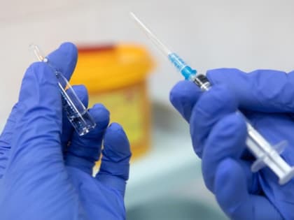 Около 2,5 миллионов россиян сделали прививку от клещевого энцефалита