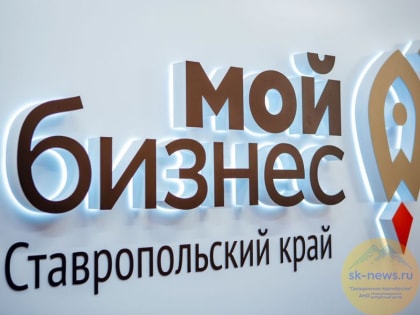 Ставропольский Центр «Мой бизнес» вошёл в число лучших в России