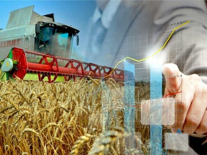 В текущем году сельхозтоваропроизводителям Майского муниципального района предстояло  убрать 11837 га зерновых культур