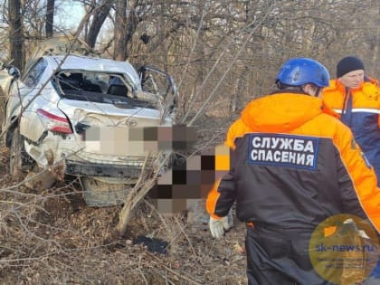 По факту ДТП с семью жертвами, в том числе ребенком, под Георгиевском возбудили уголовное дело