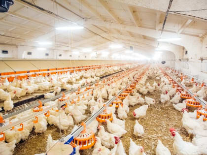 В Кабардино-Балкарии выросло сельхозпроизводство