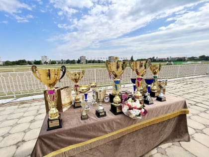 На ипподроме Нальчика проходит «Кубок Эльбруса-2023» в честь Дня государственности республики