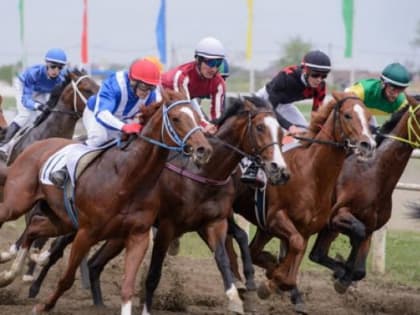 «Президентские» скачки