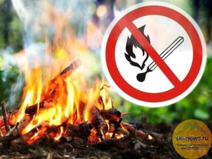 В Ставрополе ввели особый противопожарный режим: искрообразование в лесах под запретом