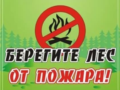 Берегите лес от пожара!